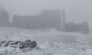 За держзраду судитимуть колишню старосту з Луганщини