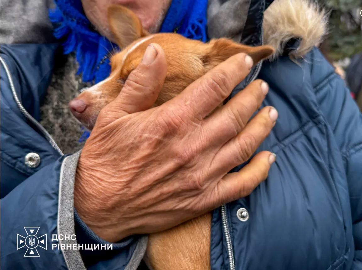 Rivne Oblast welcomed another evacuation train; 36 people arrived
