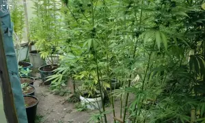 В «Укравтодоре» рассказали о четырех уровнях защиты качества