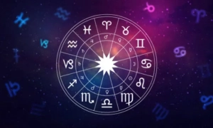 Венедіктова відзвітувала про мільйонні надходження від арешту майна кібершахраїв