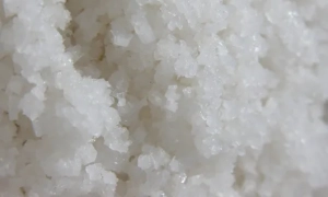 Тимошенко заблокувала трибуну Ради щоб боротися із корупцією