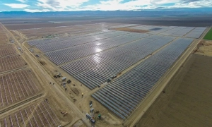 Попри всі заборони. В Італії висадилися 500 мігрантів з Північної Африки