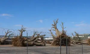 На Суматрі зсув убив чотирьох золотошукачів — Mongabay
