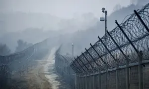 Argentyna uznała pięć karteli i ugrupowań za terrorystyczne — Anadolu Agency