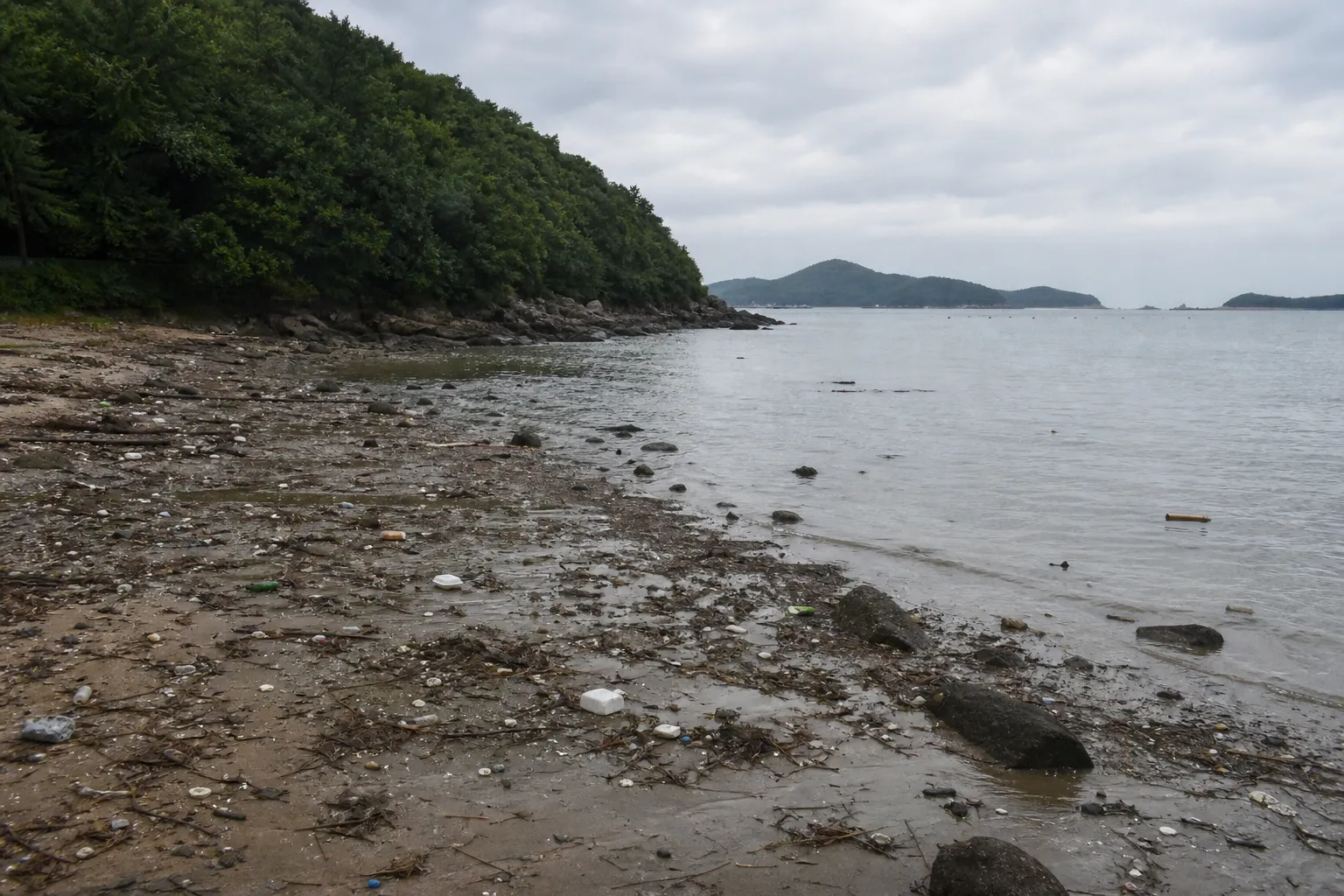 韩国查获了15枚据信是被暴雨从朝鲜冲来的地雷