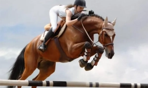 Трамп завершив частковий "шатдаун" у США — CNN