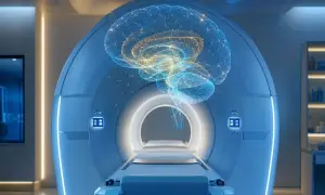 Brain scans reveal a shared scale for whole numbers and fractions — Live Science