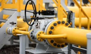 Курс валют: долар трішки подорожчав 