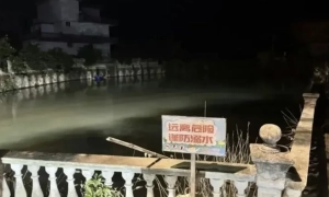 До Великобританії прибула перша група ЛГБТ+ з Афганістану