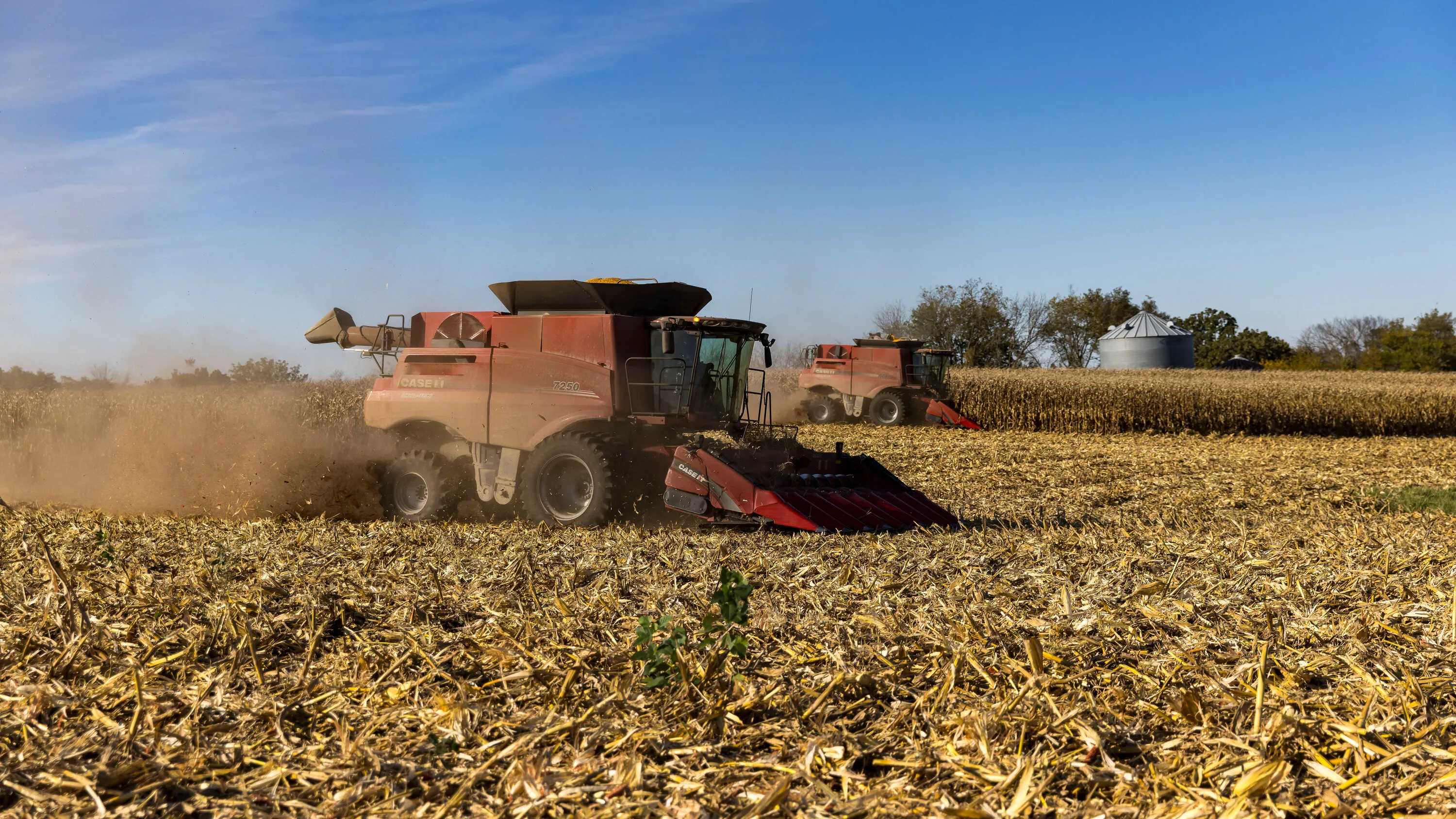 Американські фермери скорочують посіви кукурудзи через зростання витрат і війну з Іраном