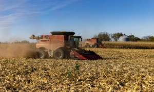 Фото, відео: в майстернях піротехніки в Мексиці стався вибух