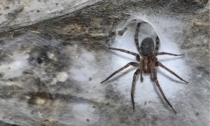 Експерти назвали найбільш небезпечні та безпечні країни для туристів