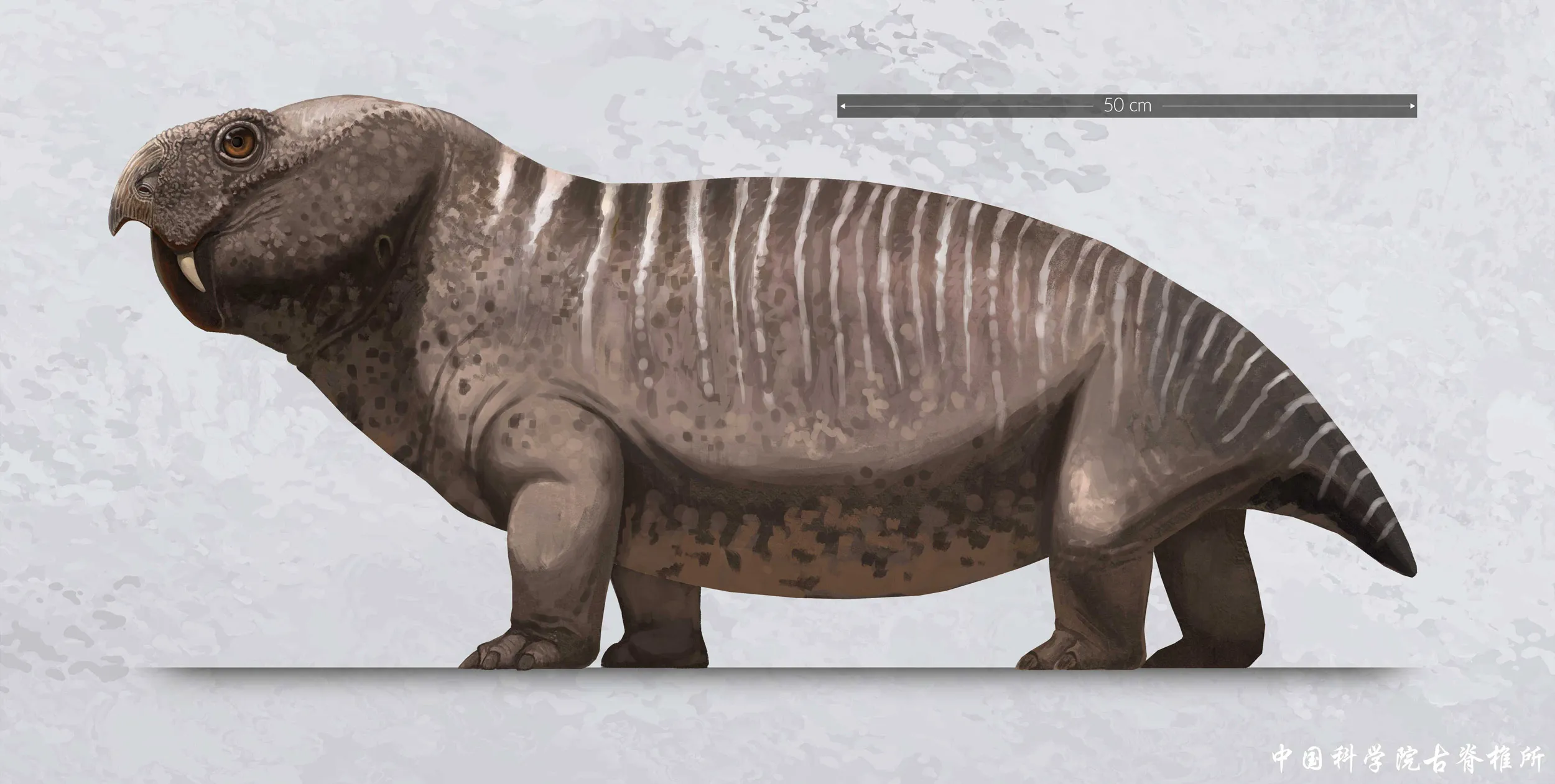 Китайські вчені відкрили новий маршрут міграції древніх тварин