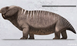 Трамп заявив про успішну спецоперацію із захоплення Мадуро