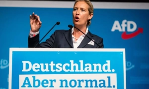 AfD leader Alice Weidel accuses Zelensky of corruption and raises concerns about Germany's future
