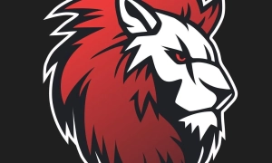 Українська кіберспортивна організація Leo Team відкрила ще одну дисципліну