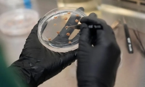 Дослідження: штучний інтелект не скорочує робочий час, а збільшує його