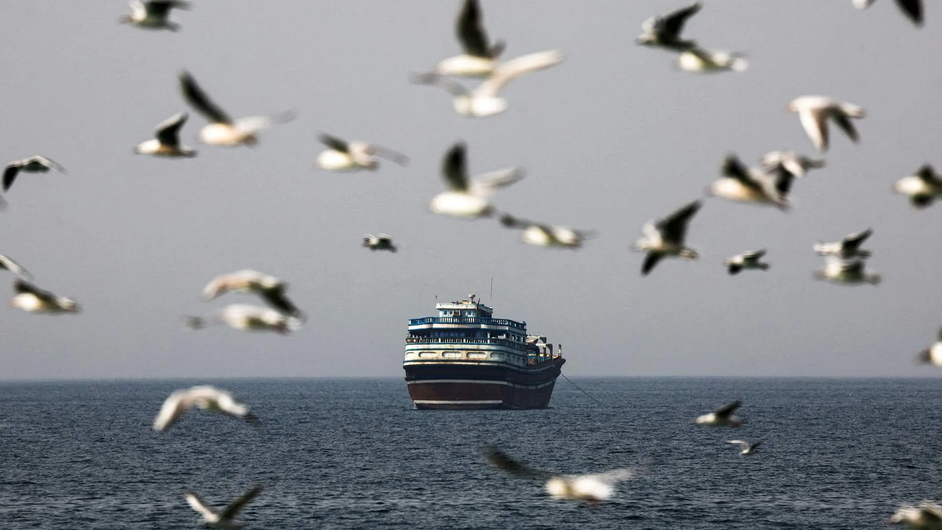 Імпортні товари можуть значно подорожчати через затяжну кризу на Близькому Сході