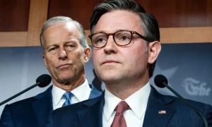 Пташиний грип став небезпечніший для людей та котів, - вчені