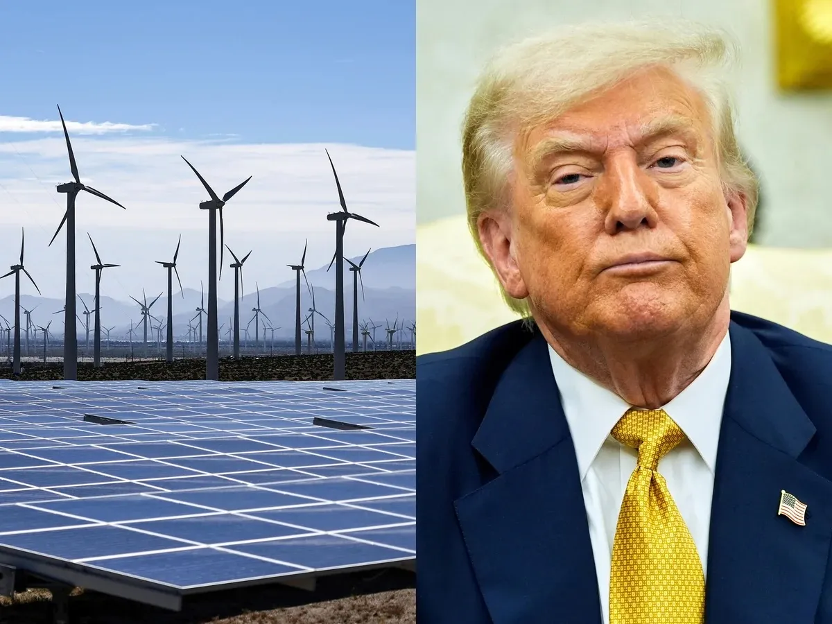 Trump comments on China's low number of wind turbines