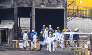 Вакцина проти хвороби Лайма перейшла до третьої фази випробувань - Pfizer