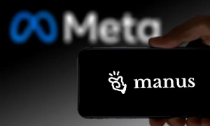 Антимонопольний комітет перевірить різке подорожчання яєць та олії