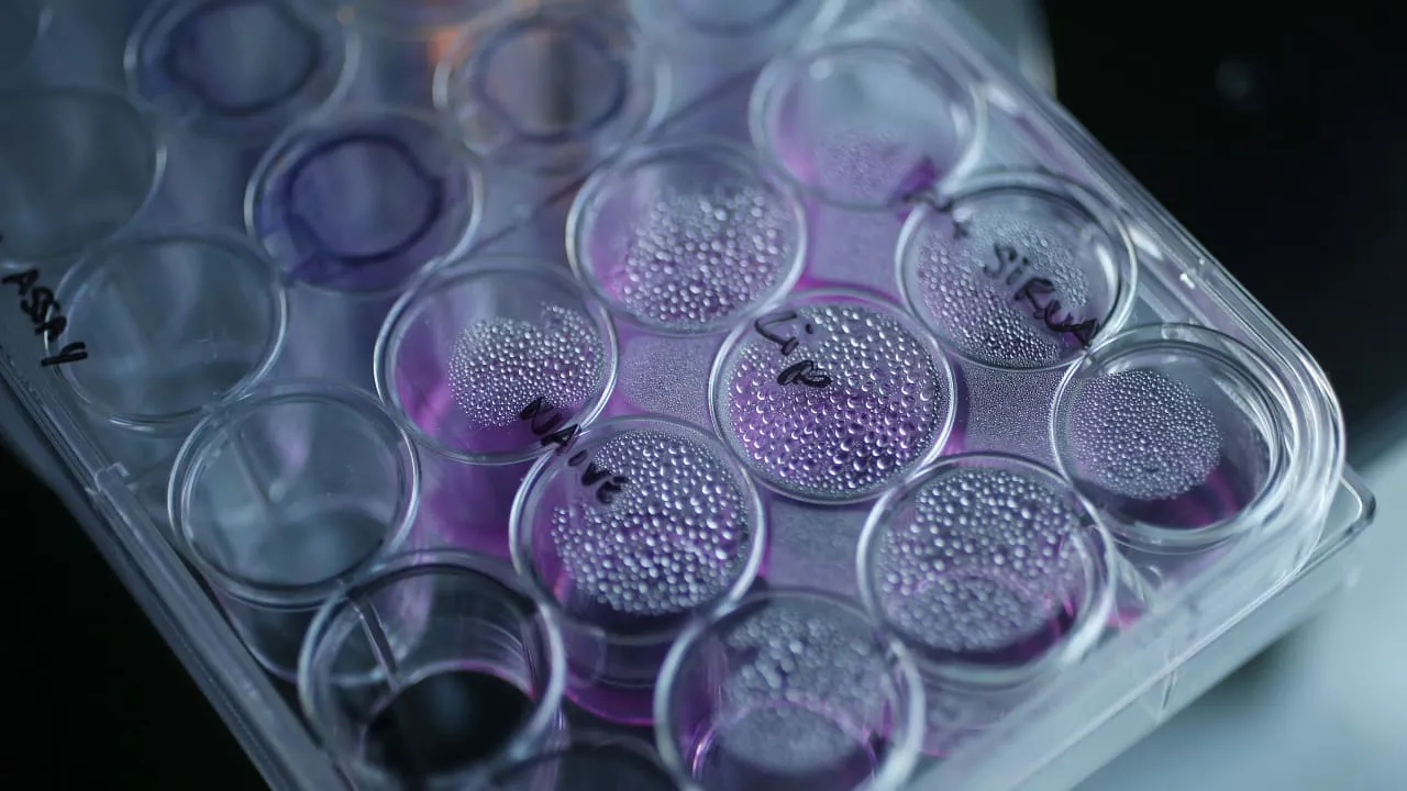 У Південній Кореї створили новий препарат проти раку на основі наночастинок