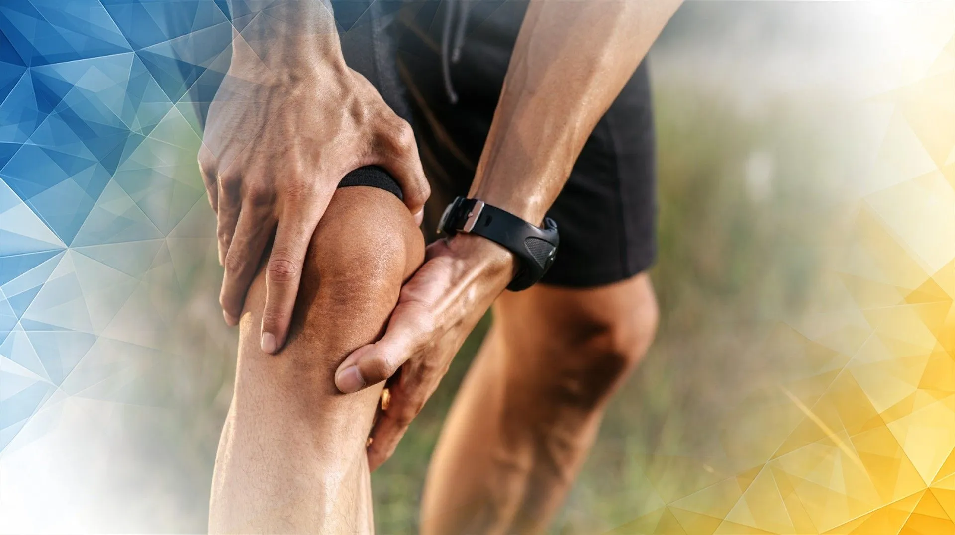 Вчені навчилися відновлювати хрящ у коліні за допомогою однієї ін’єкції