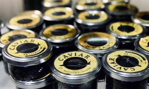 Москва відкинула пропозицію Парижа і Берліна зібрати «нормандську четвірку» в ООН