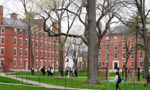 Українці масово переходять на євро — долар втрачає популярність