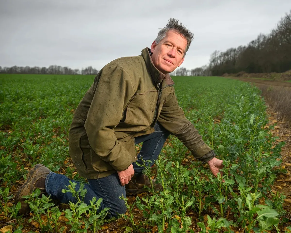 Ограничения на поставки топлива для фермеров в Великобритании и глобальные проблемы с поставками