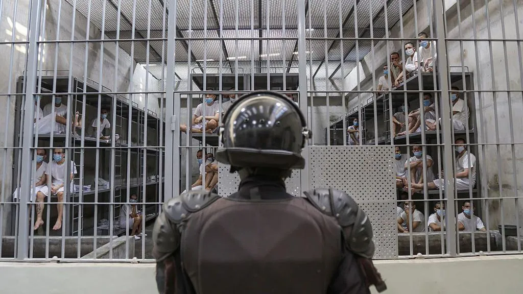 Студентка, депортована всупереч судовій ухвалі, “вийшла з Америки в кайданах”