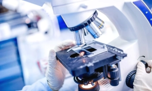 Виробник Оземпіка почав загрожувати позиціям Lego як найдорожчого бренду Данії