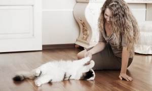 Вино і сир можуть уповільнити старіння — дослідження вчених