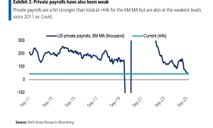 China’s youth unemployment rate declines for the eighth consecutive month