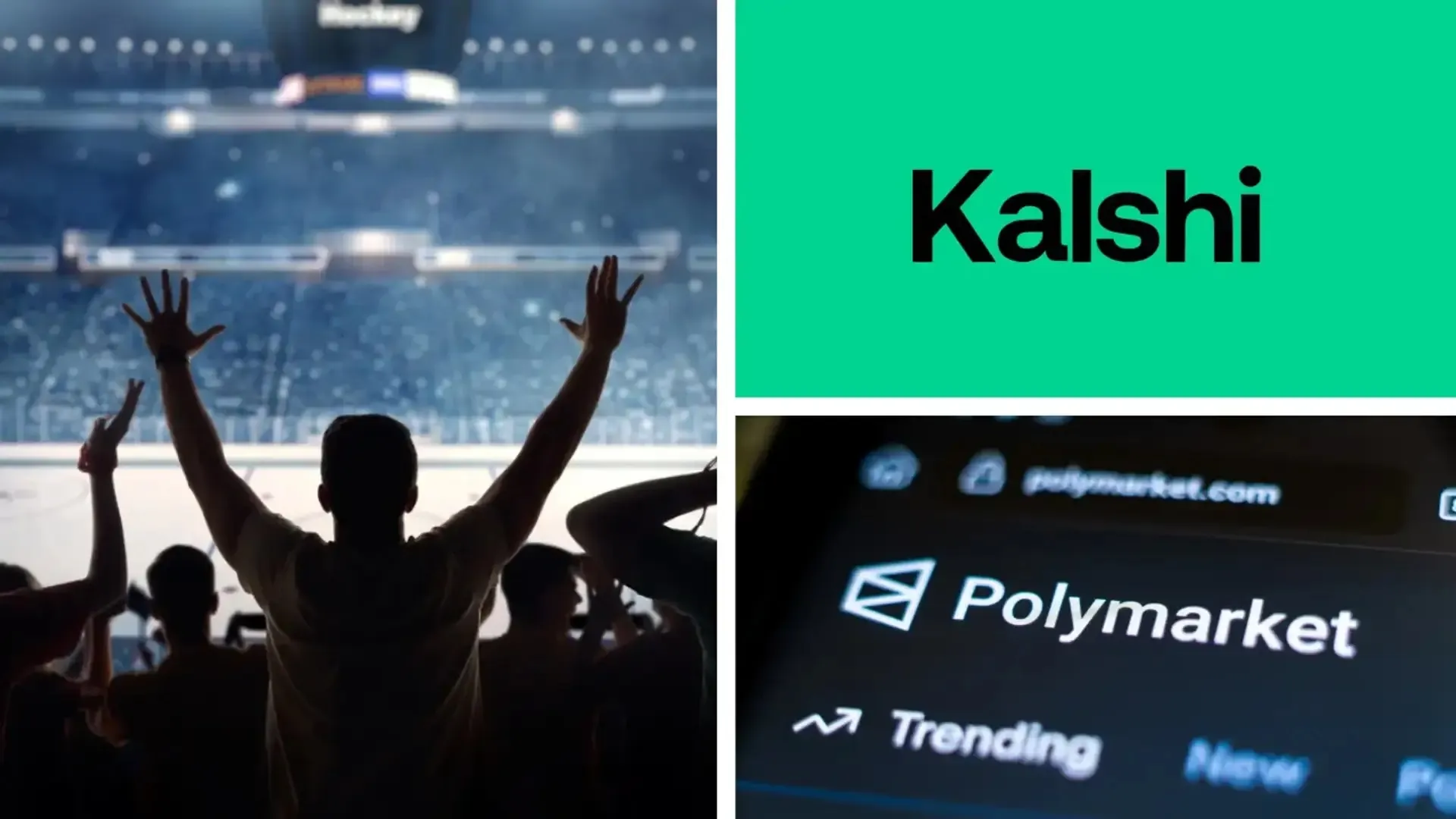 Користувачі ринків прогнозів зазнають більших втрат, ніж гравці на ставках