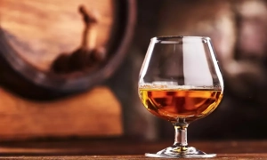 Зеленський пояснив, чому Генпрокурор Рябошапка має піти