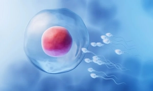 Масштабне дослідження підтвердило нижчу смертність серед вакцинованих від COVID-19