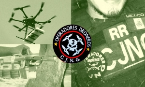 Нідерланди призупинили програму підготовки держслужбовців Грузії