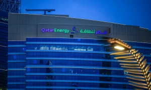 З Литви за новою програмою вилетів перший нелегальний мігрант з Іраку. Йому купили квитки та дали 300 євро