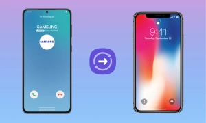 У Канаді розробили застосунок, який завдяки нейромережі визначає емоційний стан котів