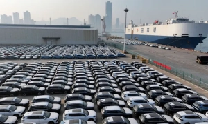 Нідерланди призупинили програму підготовки держслужбовців Грузії