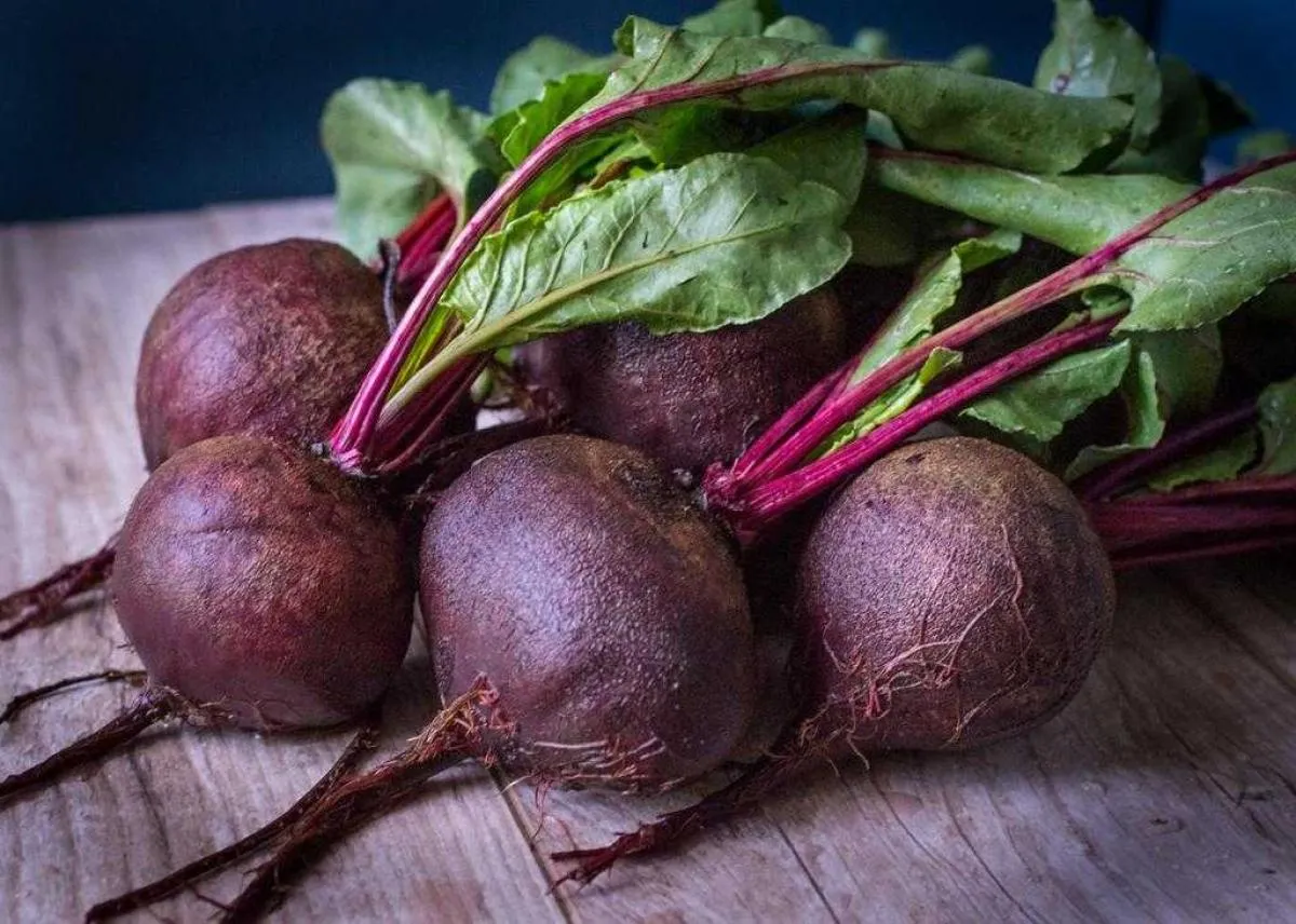 Beetroot as a natural brain protector: could it slow Alzheimer’s disease