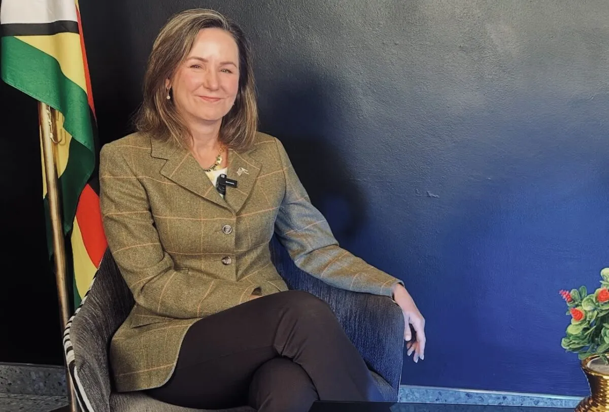 US proposes mineral resource deals for medical aid in Zimbabwe and Africa