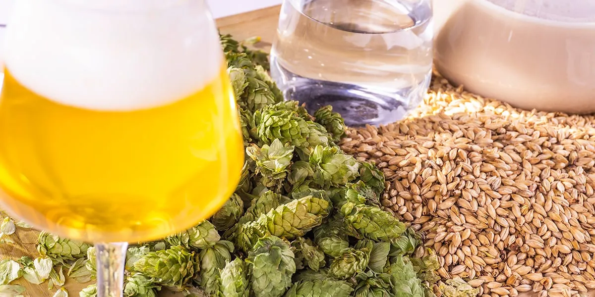 The ideal beer composition: hops, malt and water