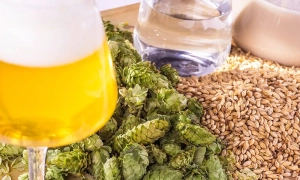 Вперше африканська країна передасть Україні військову допомогу