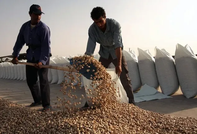 Іранська фісташкова індустрія зазнала краху через зовнішній тиск