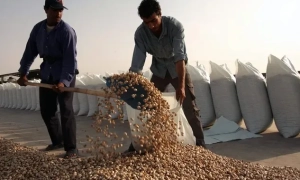 АвтоЗАЗ спробує випускати трактори