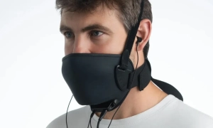 Вчені використовуватимуть штучний інтелект, щоб розшифрувати спілкування тварин