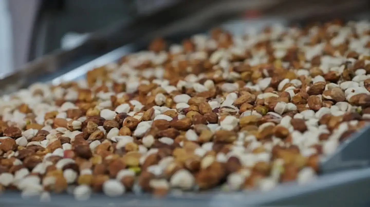 Рост цен на фисташки из-за войны в Иране достиг максимального уровня за 8 лет